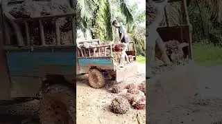 #sepur mobil handal