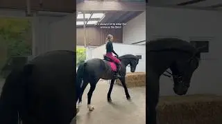 Love the fit 🩷🖤 #equestrain #horse #short