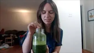 I ate like FULLY RAW KRISTINA for a day and it COST HOW MUCH????