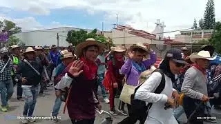 Peregrinación de 