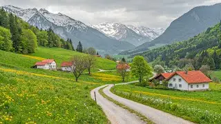 Healing Music & Nature Sounds 🌿 Reduce Stress, Calm Anxiety, Deep Sleeping Music