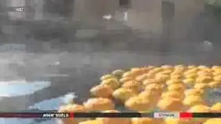 ● Japanese enjoying yuzu bathing in hot springs