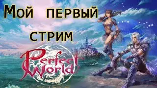 Perfect World - Пробный стрим