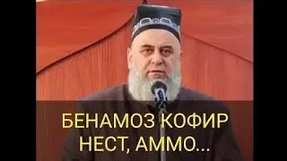 БЕНАМОЗ КОФИР АСТ Ё НЕ?