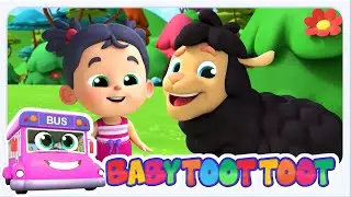 Baby Toot Toot Baa Baa Pecora Nera Canzone | Di Pi&ugrave; 3d Animato Rime Per Bambini