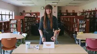 Primary Colors Workshop｜Kristin Brandt｜Arts for Learning WNY