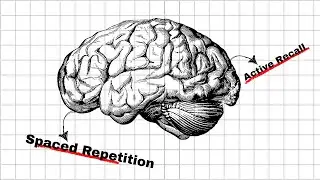 How To Learn Anything Faster and Better (The Secrets of Rapid Learning)