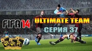 FIFA 14 Ultimate Team Серия #37