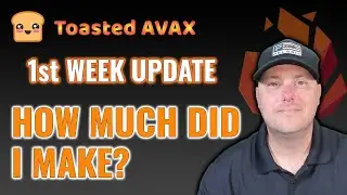 Toasted Avax - New Baked Beans Miner Project First Week Update How Much I Made - Re-Toast Calculator