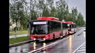 MAN NG313 Lion's City G CNG #4198 - VVT Vilnius
