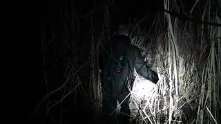 Der Hierophant - Para DaRa