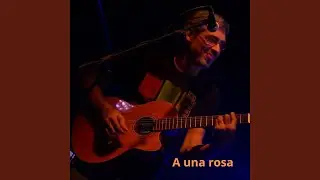 A una rosa (Demo)