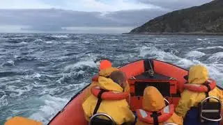 Seafari Adventures - Whirlpool Specials