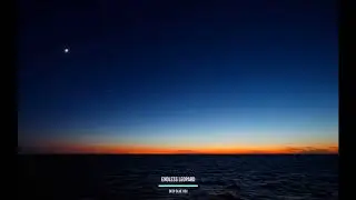 Endless Leopard - Deep blue you