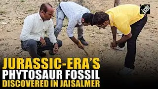 Breaking:  201-million-year-old Phytosaur fossil resembling crocodile discovered in Jaisalmer