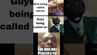 Best memes ever