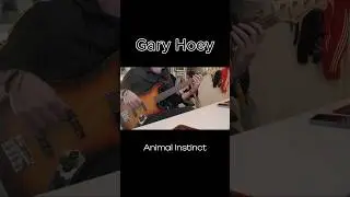 Gary Hoey - Animal Instinct #bass #cover #tonyfranklin #basslove #bassguitar