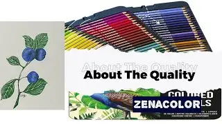 Review & Demo: Zenacolor Color Pencils