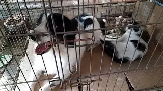 Satu tempat dan bersahabat ...ya .