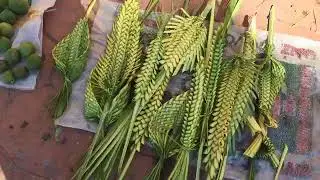 Tradicionales palmas de Día de Ramos