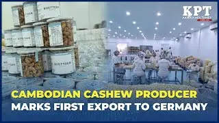 Cambodian Cashew Producer Marks First Export to Germany