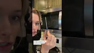 Removing An Appliance Logo With A Hairdryer??