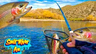 Salt River Az trout fishing 