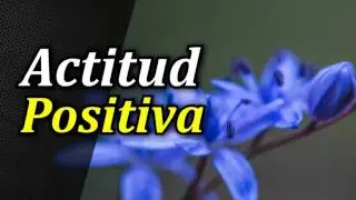 C&oacute;mo Cultivar una Actitud Positiva - Por Bernardo Stamateas