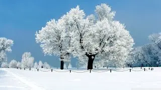 ASMR 💙❄️🤍 Facts & Folklore About January For You To Fall Asleep To