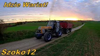 TEST MOCY! Niedźwiedź vs Wielton 10 Ton - Porządki Na Gospodarstwie