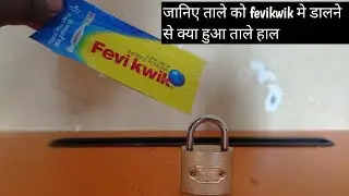 Fevikwik vs Lock | जानिए ताले को फेविक्विक मे डालने के बाद क्या हुआ ताले हाल | Experiment siddh