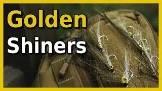 Fly Tying Bass Flies | Golden Shiner Fly Pattern