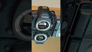 #microfourthirds #fullframe #mediumformat #canoncameras #fujifilmcamera #olympuscamera #canon #pen