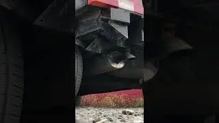 Выхлоп stt pefomance нержавейка