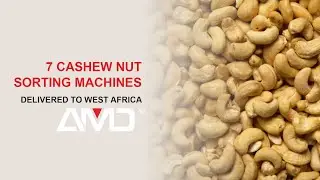 AMD 7 CASHEW NUT SORTING MACHINES DELIVERED TO WEST AFRICA
