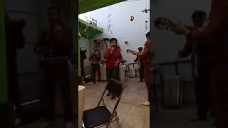 Alma2017