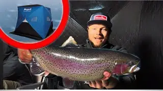 Ice Fishing Colorado&rsquo;s Gorgeous Wild Trout!