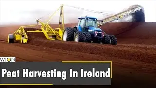 Why are Bogs important for harvesting in Ireland? | Latest World English News | WION News