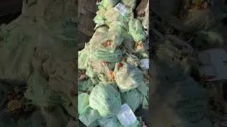 ECASD Food Waste Diversion Examples