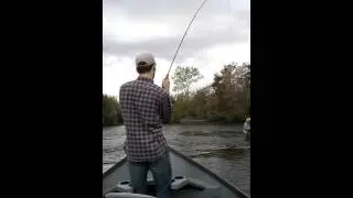 Oroville Steelhead 23 inches