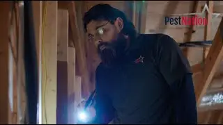 PestNation: Providing Freedom from Pests