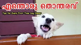 എന്തൊരു തൊന്തരവ് അയ്യയ്യോ : Tips for First Time Dog Owners : Dog Excitement Control : House Training