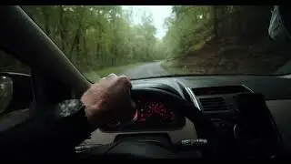 Fast Driving On A Forest Road High Quality Stock Video | Copyright Free | Creator Mitra