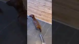 Не даром бради, голодный год настал