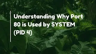 Understanding Why Port 80 is Used by SYSTEM (PID 4)