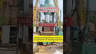 Cocopeat briquetting machine/Cocopeat brick making machine#cocopeat #coconut #cocopeatbrick #press