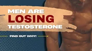 Boost Testosterone Naturally: Energy, Focus & Vitality
