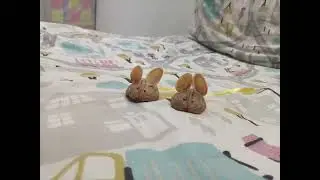 Cuties mouse craft