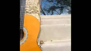 Blackmoon-Exotic Blues- Metal Guitar