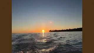 Oh, If I Could Fly